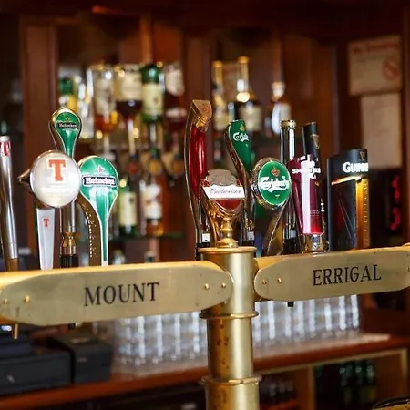 Hotel Mount Errigal Hotel, Conference & Leisure Centre 4*