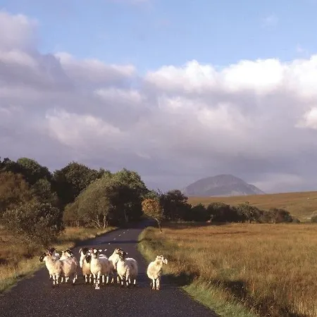 Hotel Mount Errigal Hotel, Conference & Leisure Centre Letterkenny