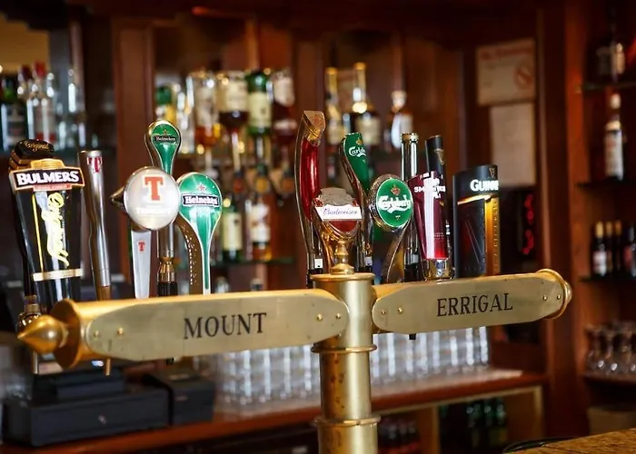 Hotell Mount Errigal Hotel, Conference & Leisure Centre 4*