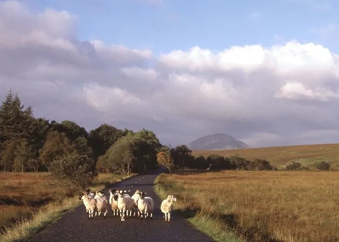 Hotel Mount Errigal Hotel, Conference & Leisure Centre Letterkenny